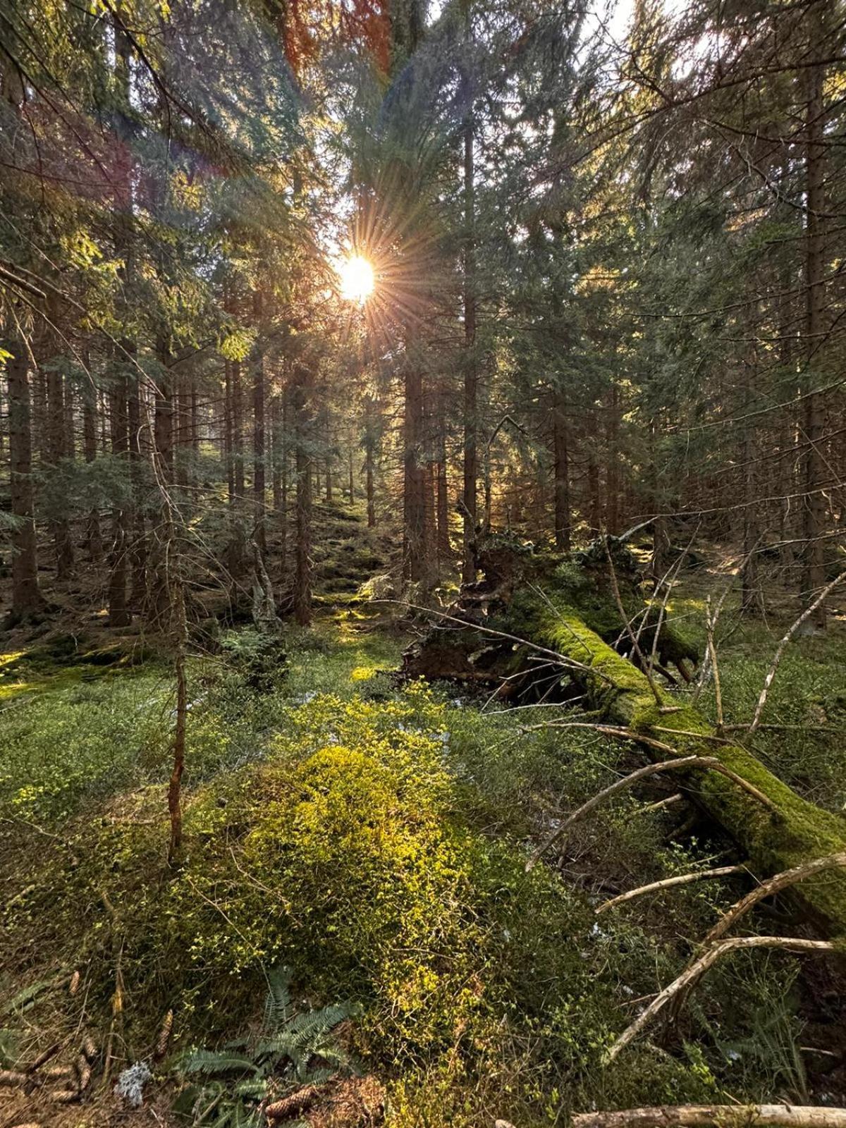 Chata Pod Studnicnou Pec pod Snezkou Bagian luar foto