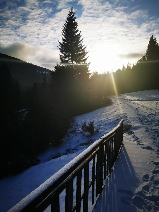 Chata Pod Studnicnou Pec pod Snezkou Bagian luar foto