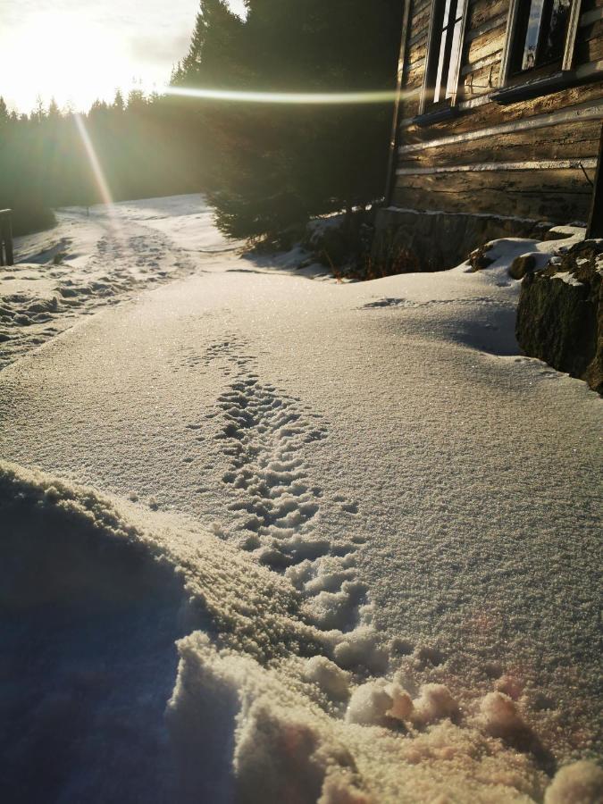 Chata Pod Studnicnou Pec pod Snezkou Bagian luar foto