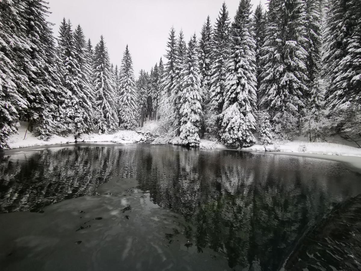 Chata Pod Studnicnou Pec pod Snezkou Bagian luar foto