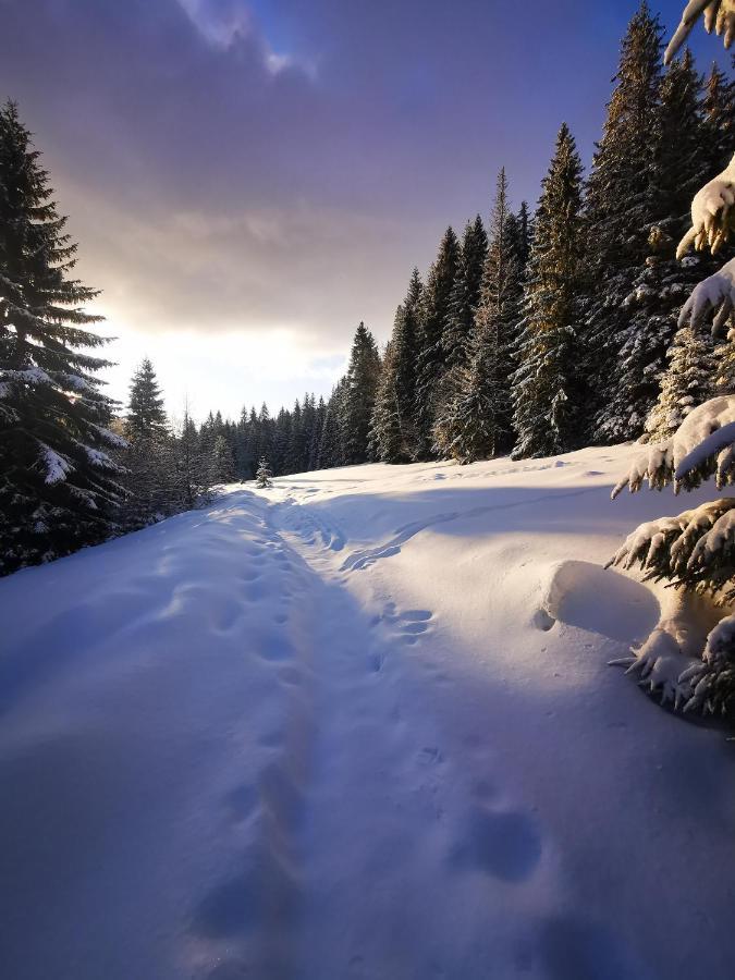 Chata Pod Studnicnou Pec pod Snezkou Bagian luar foto